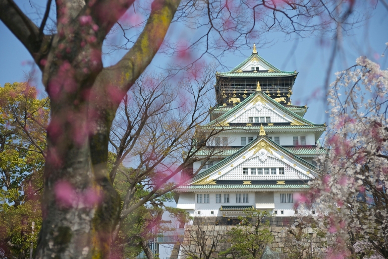 Сакура и замок в Осаке