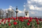 Весна в Волгограде