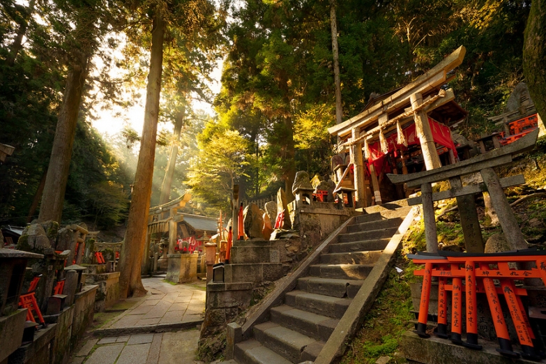 Священная роща храма Фусими-Инари