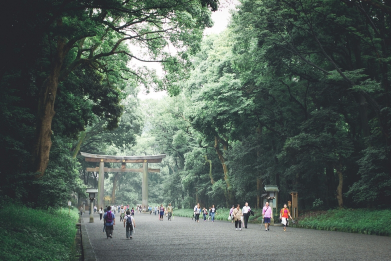 Прогулка в парке около Храма Мэйдзи