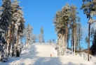 Лыжная трасса в Латвии