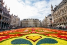 Фестиваль Ковер цветов на центральной площади Брюсселя