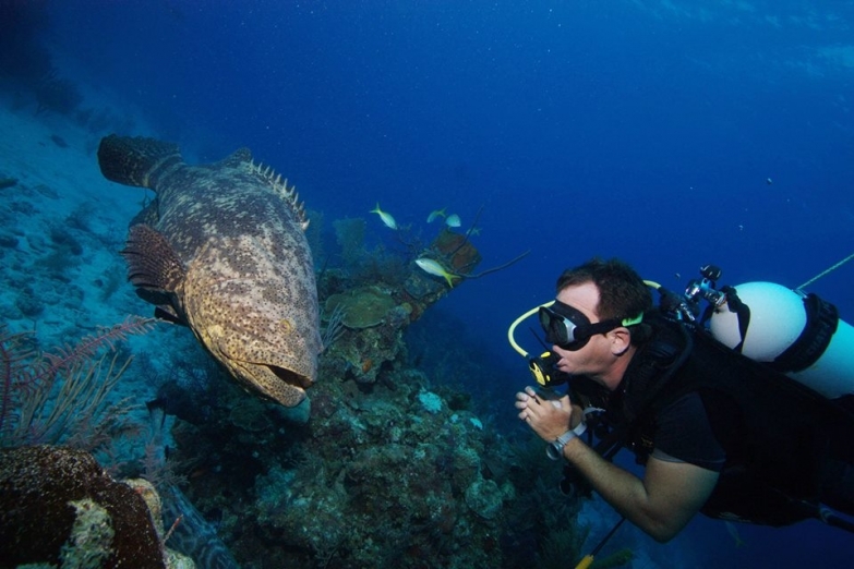 Подводный мир острова Кайо-Коко