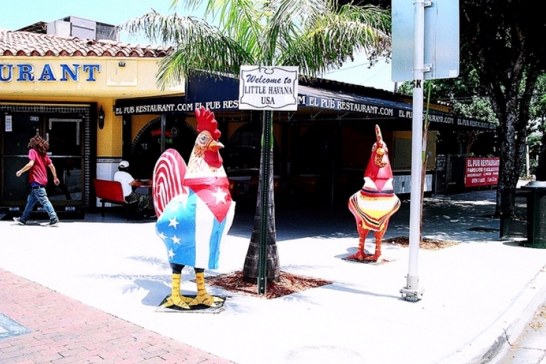 Петухи на улицах Маленькой Гаваны