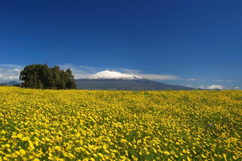 Вид на гору Этна