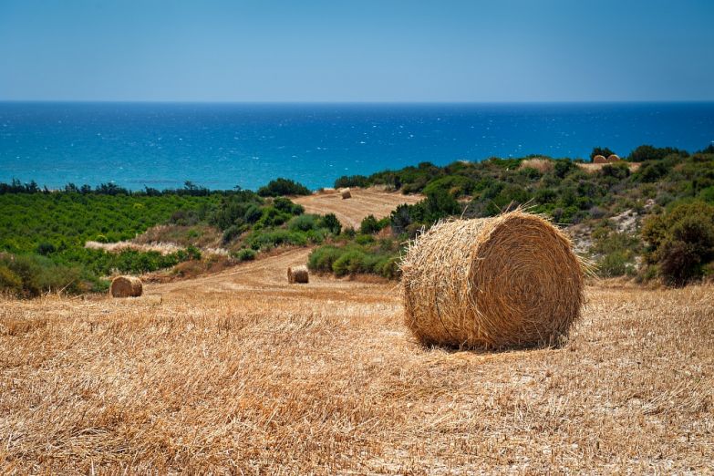 Типичный кипрский пейзаж