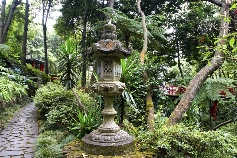 Ботанический сад в Фуншале