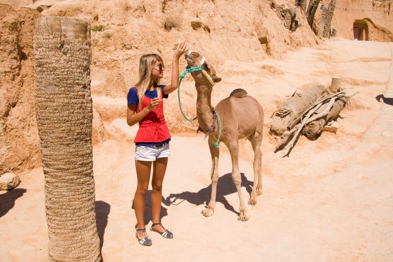 Девушка кормит верблюжонка