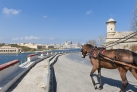 По столице Мальты на традиционной повозке карроцин