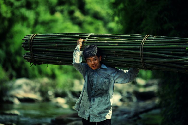 Вьетнамский крестьянин с бамбуком