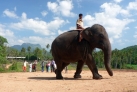 Приют для слонов в Пиннавеле