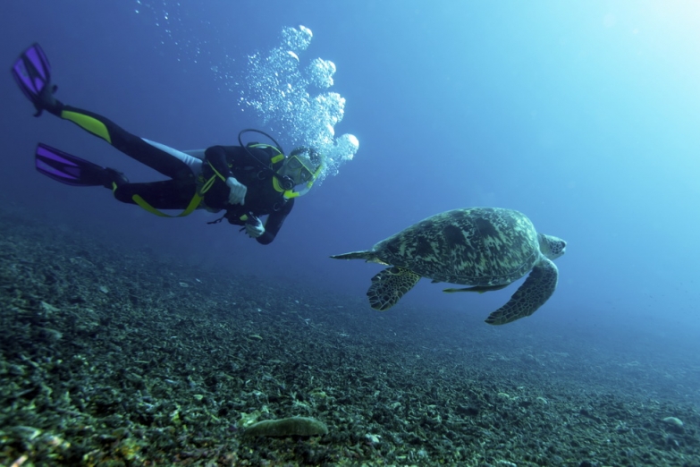 Исследуем подводный мир у берегов Ломбока
