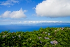 Потрясающие горзионты Азорских островов