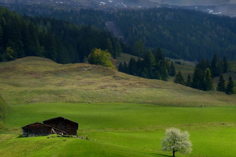 Высокогорные луга в Австрии