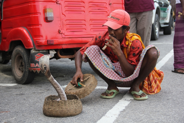 Уличный заклинатель змей